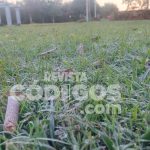 Ola polar en Misiones Posadas registro 1 °C y se reportaron heladas intensas 10 - 14